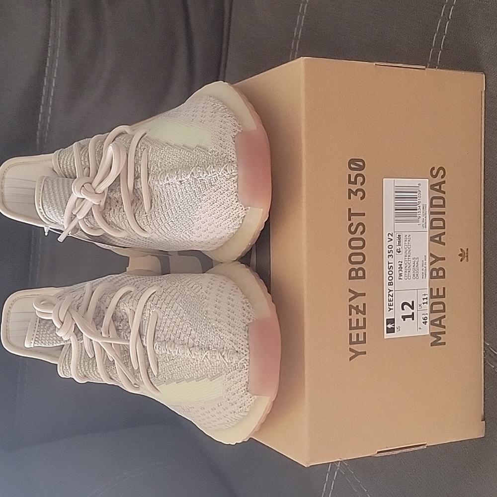 Brand new Yeezy Boost 350 V2 dead stock